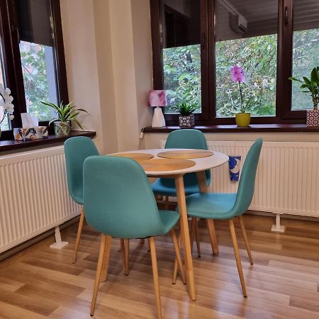 City Inn Premium Apartment Timişoara Exteriör bild