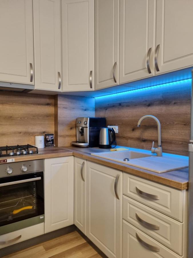 City Inn Premium Apartment Timişoara Exteriör bild