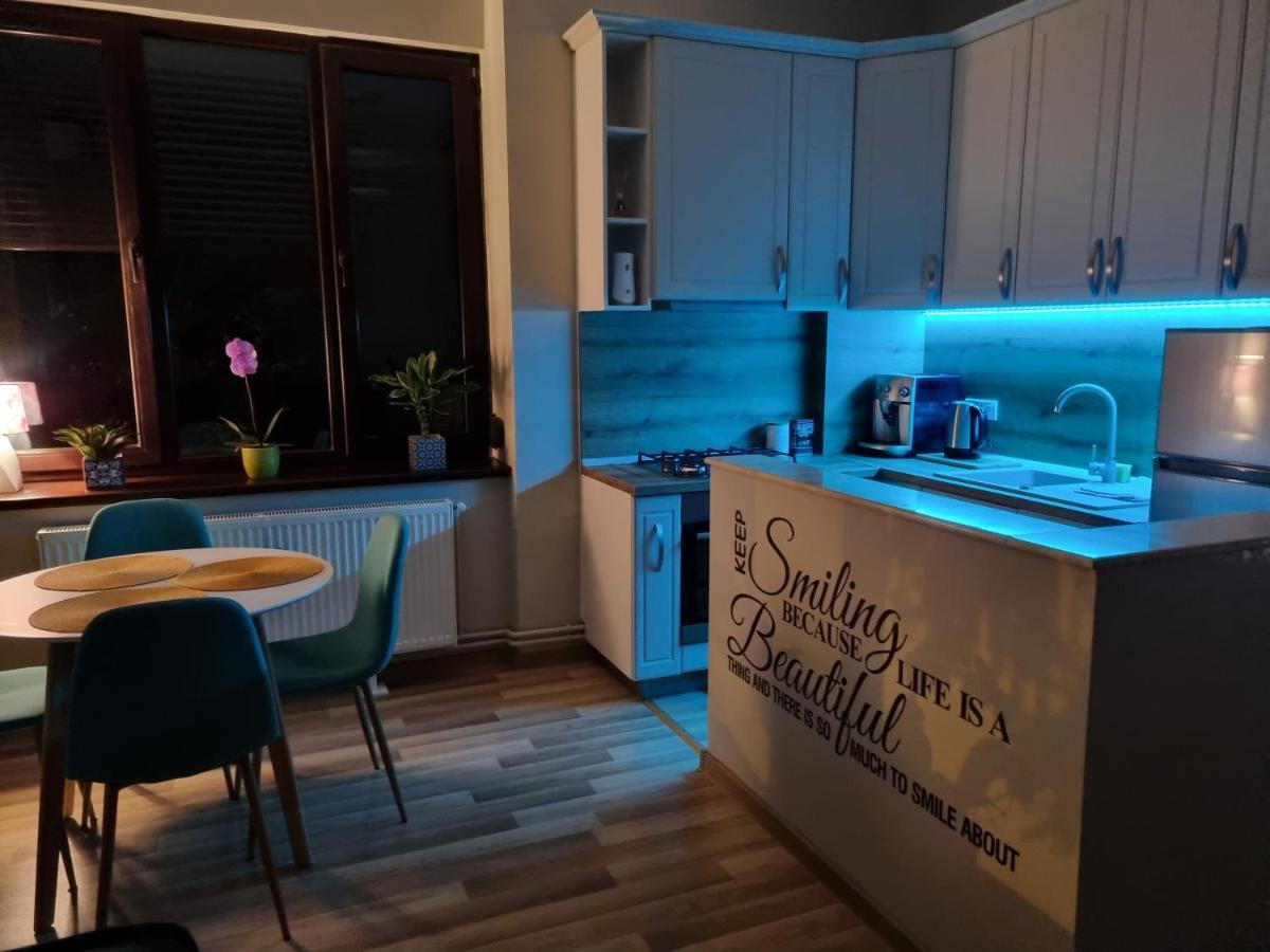 City Inn Premium Apartment Timişoara Exteriör bild